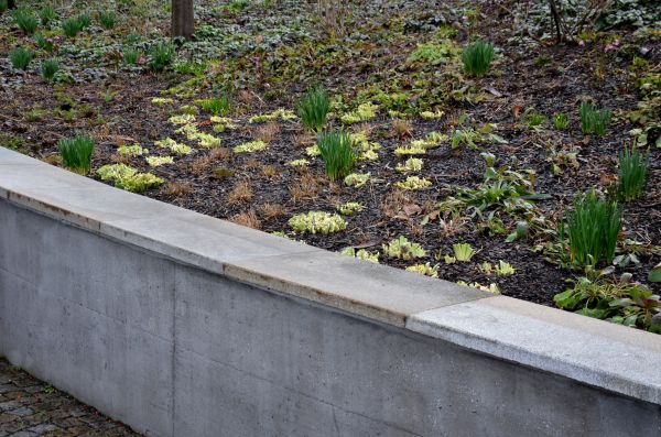 Concrete Wall Construction in Wichita Falls
