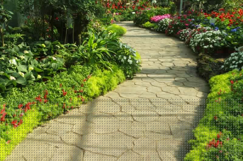 Paved Walkway Construction